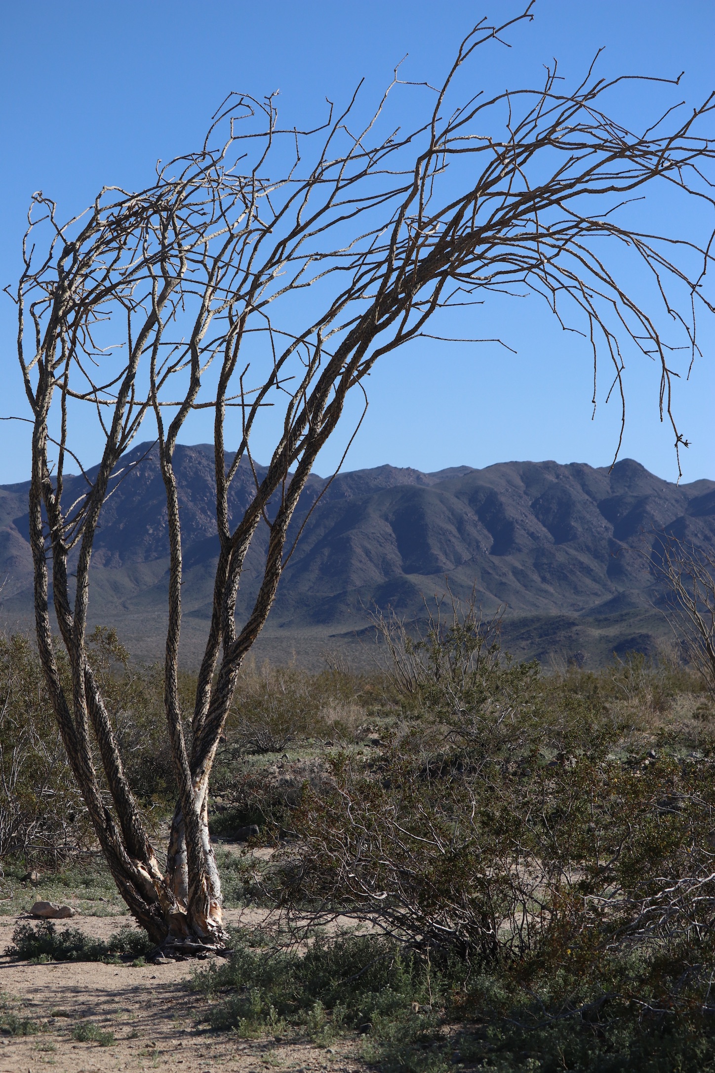 15c5f751-d135-4315-95fc-1664a93396ae