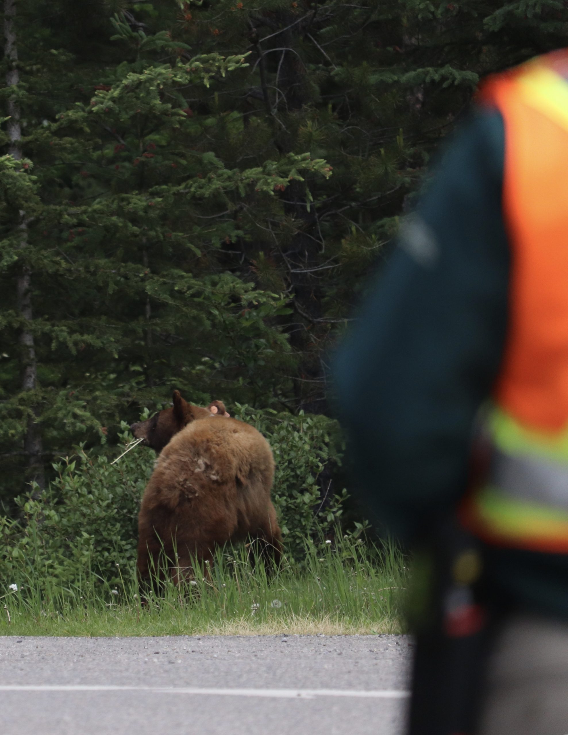 -3032504990439571720_IMG_3262