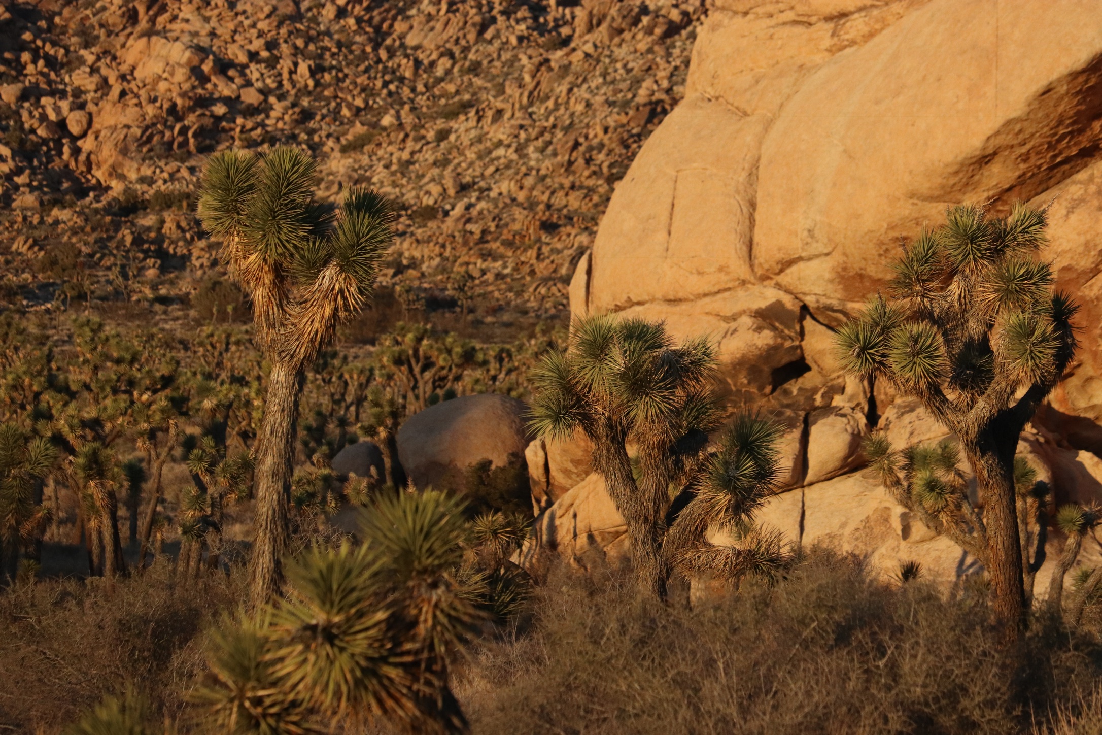 3a21396c-68a4-4e52-a0ed-f3179a6bf1f7