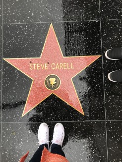 45b832e3-b039-4a1f-ac15-520be777c991