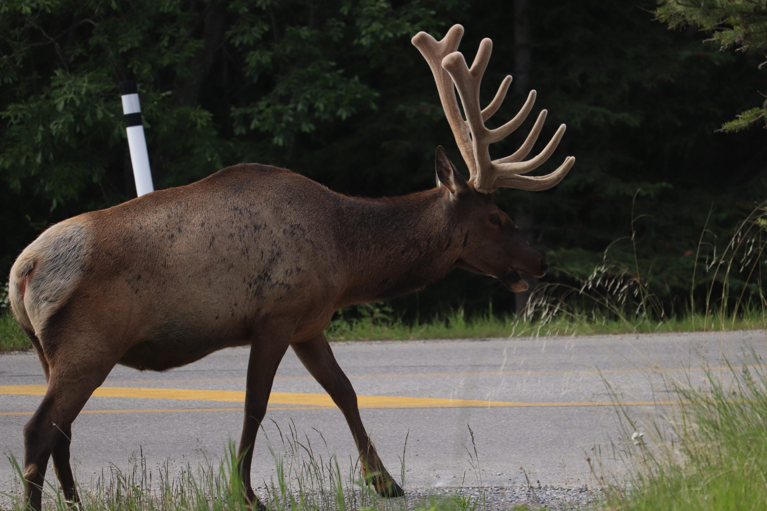 -6920313272474615441_IMG_3267