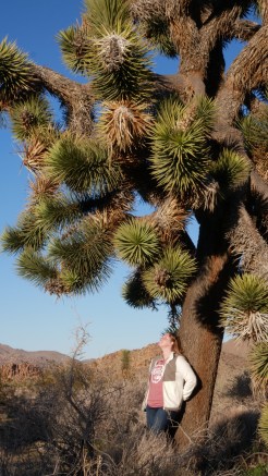 732e2805-14fb-47d3-b8fc-ab0b7c639e9e