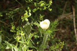 8183384d-a40b-4550-9e5a-078721f0057a