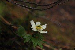 8d74467b-bacc-4772-ae64-1175cbd6bf80