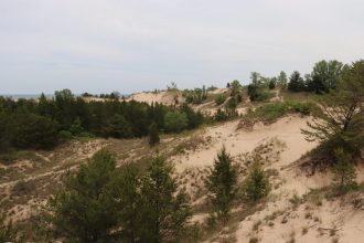 -921366103609481589_IMG_3071