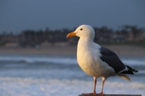 a054c143-8729-46be-872b-c95ce450742a