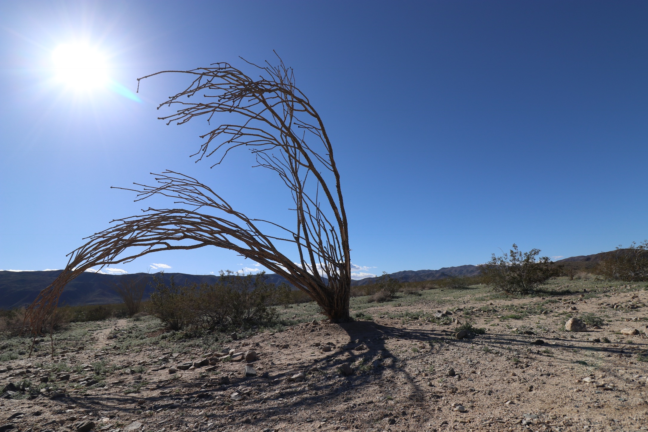 acea875b-3706-4c25-a767-bb03f87989c6