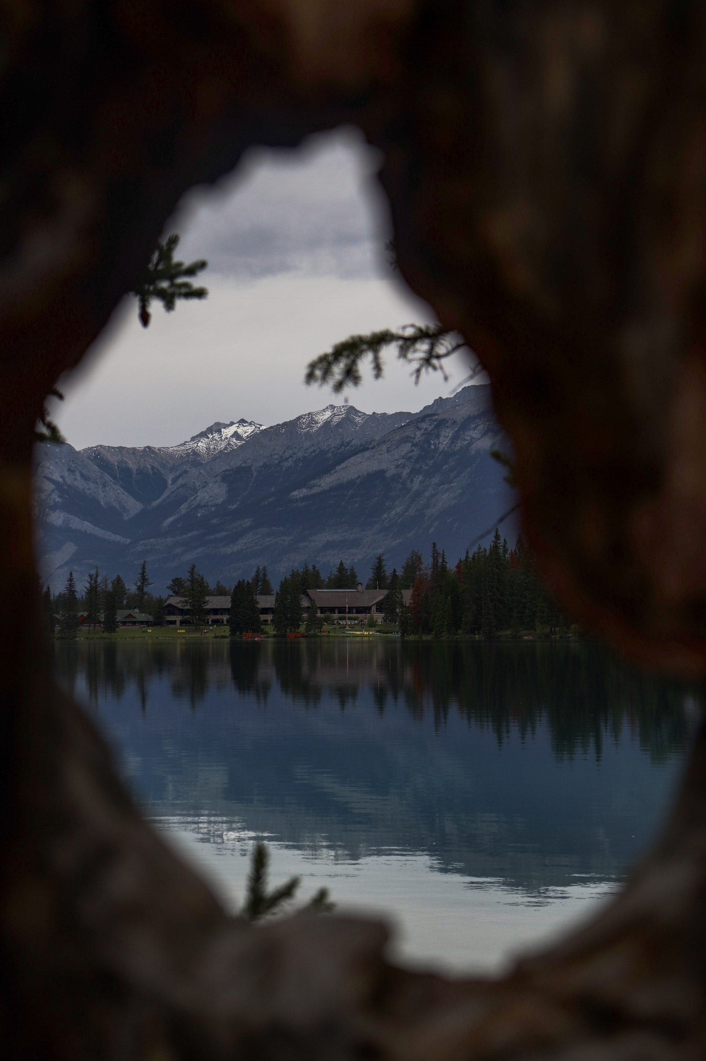 Lac Beauvert, Pictured Through a Tree