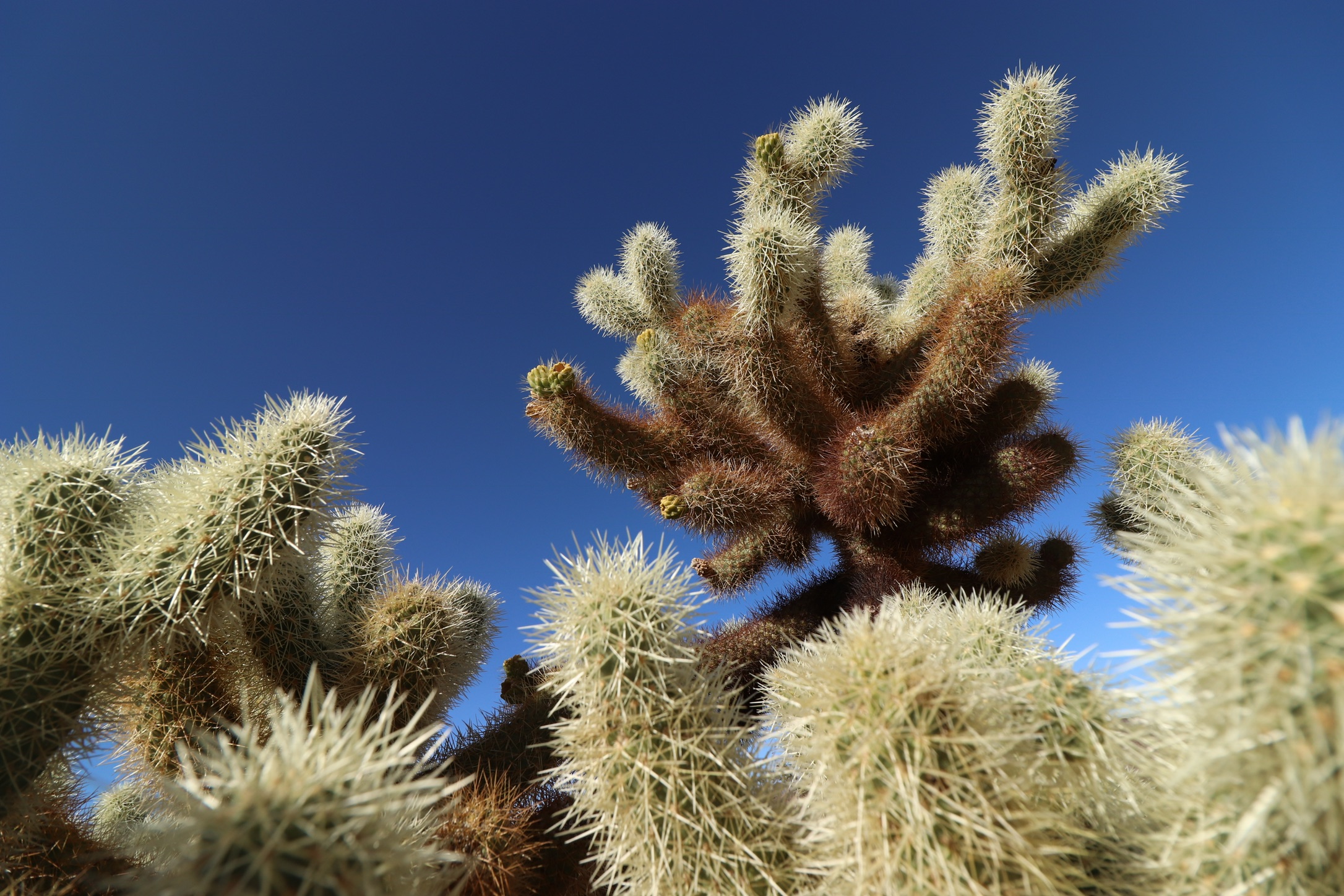 b76d52d0-5ea6-4715-9a6a-133f936d905a