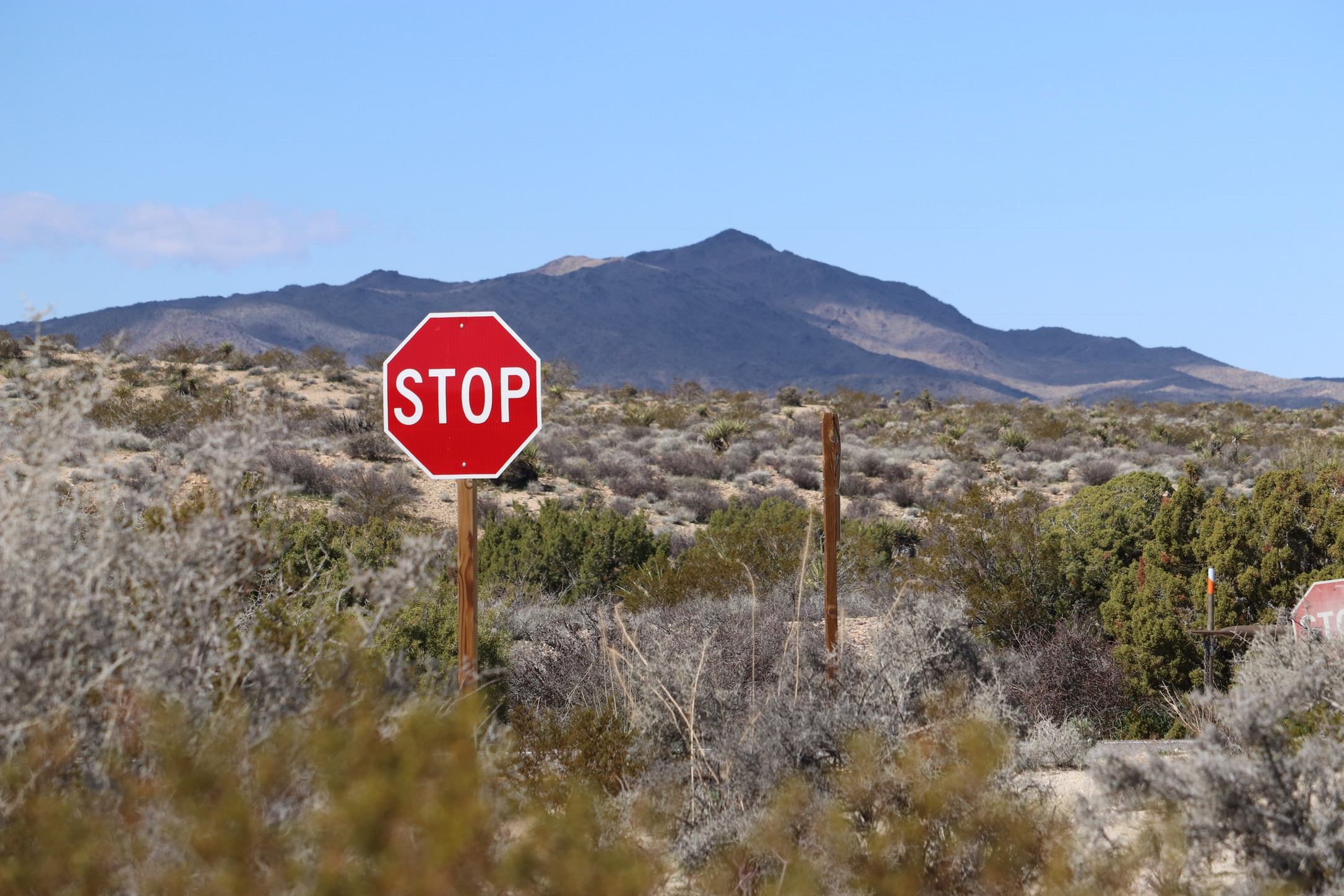 b8d3cc03-e223-456d-83f2-43d97ea65b0a