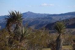 Mojave Desert