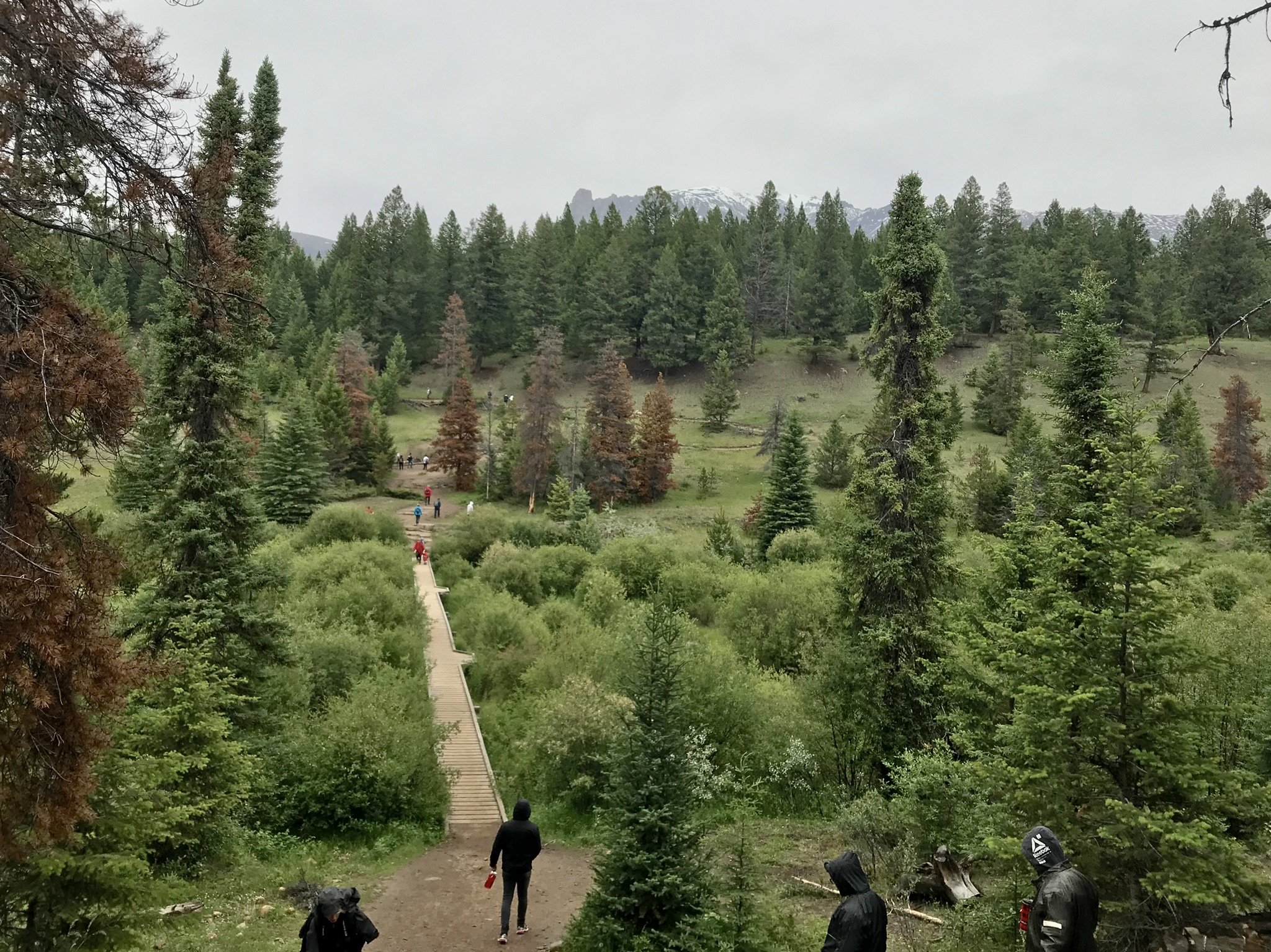 Valley of the Five Lakes Trail