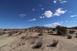Colorado Desert