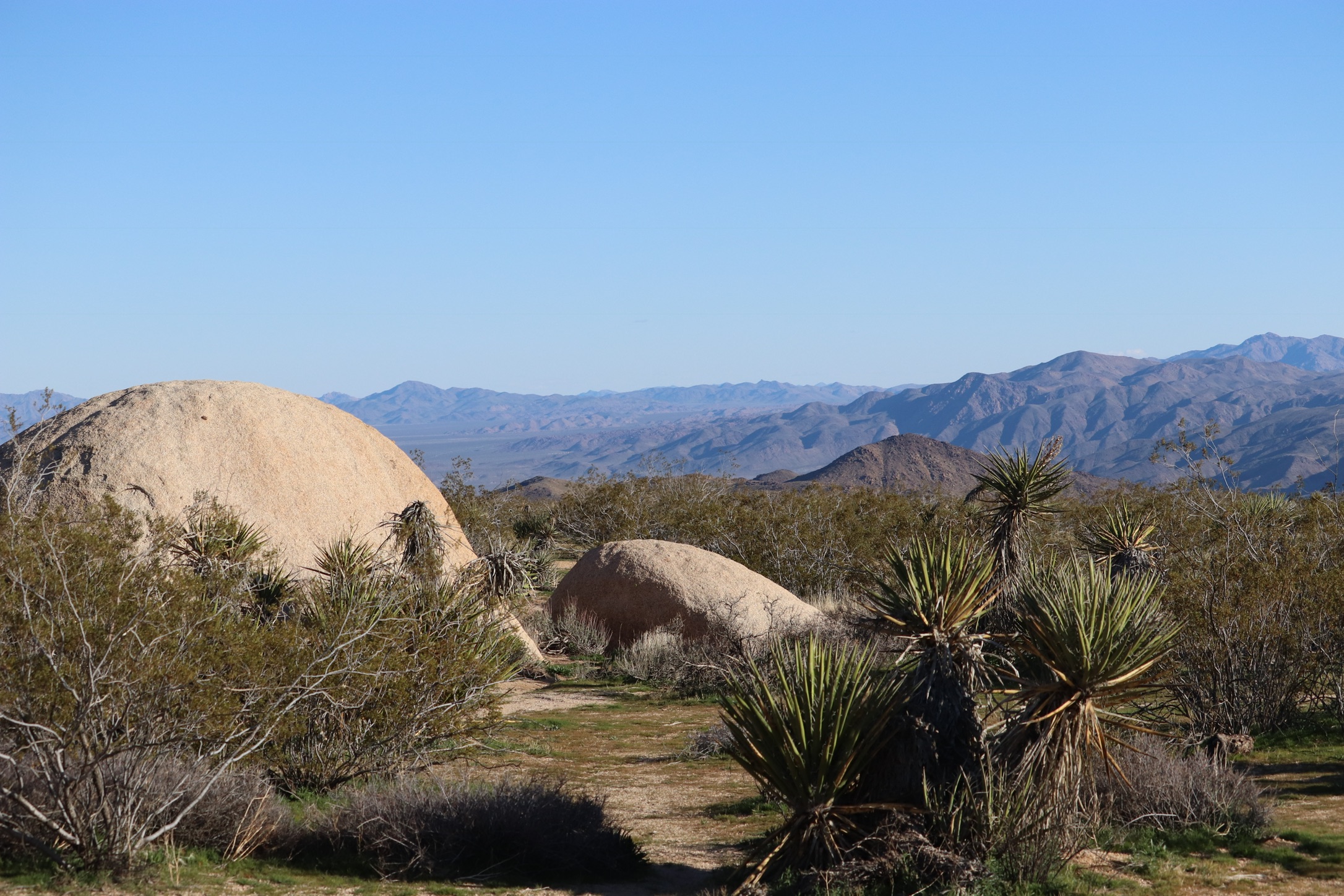 d671b6a4-75cc-4963-8fda-84b0dd7a1fe2