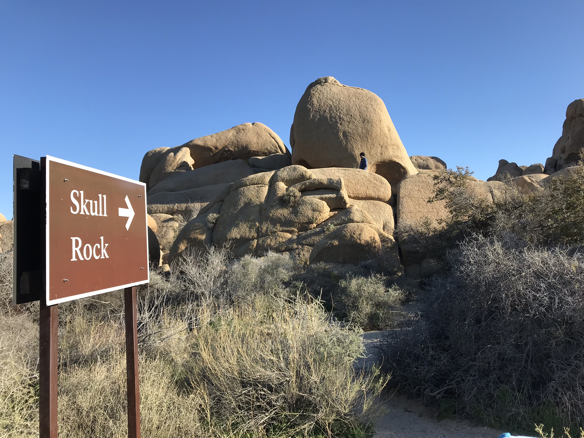 f8735526-6704-4bb4-9950-f3f8c55fc5ce