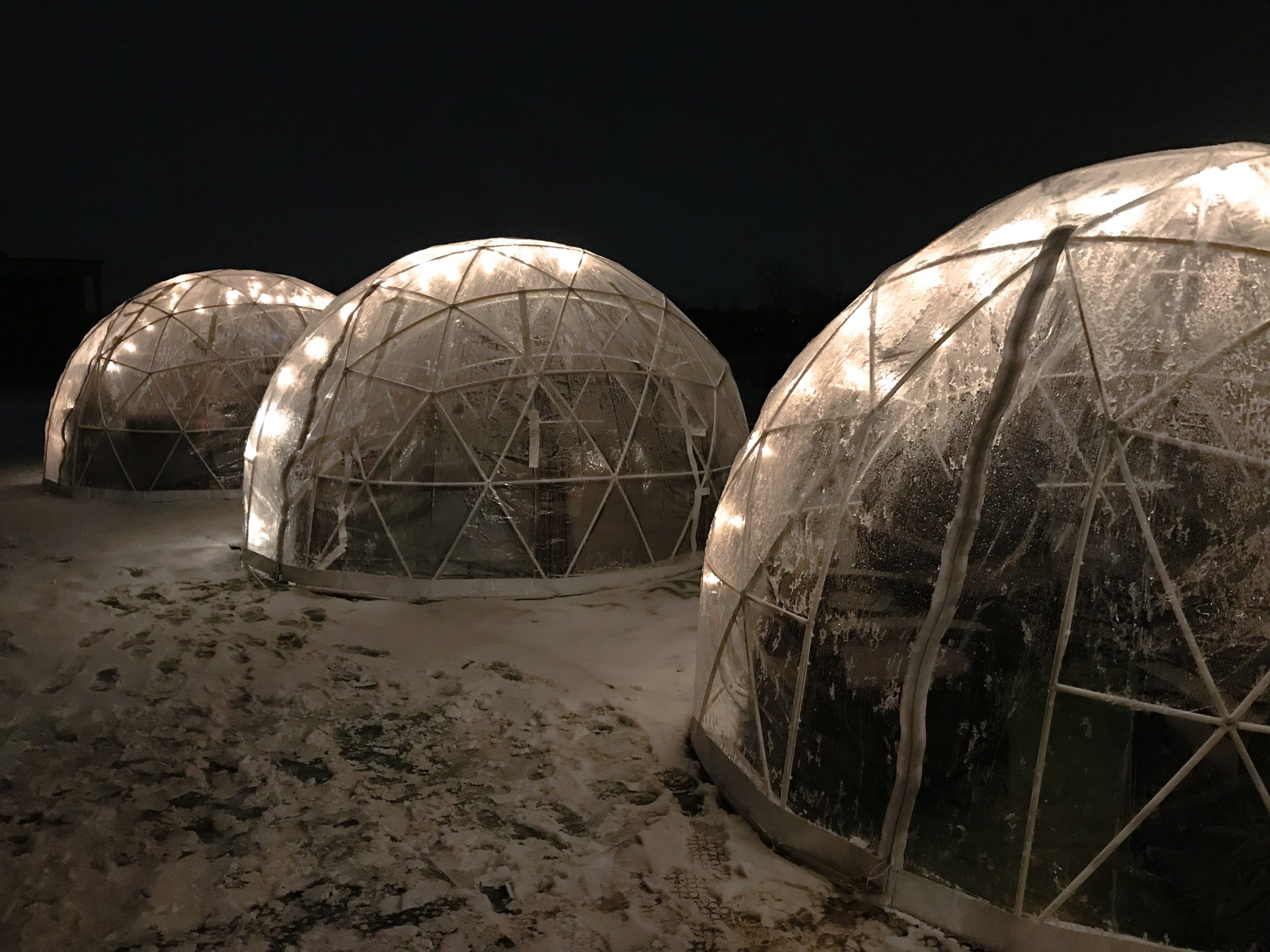 Urban Vines Igloo