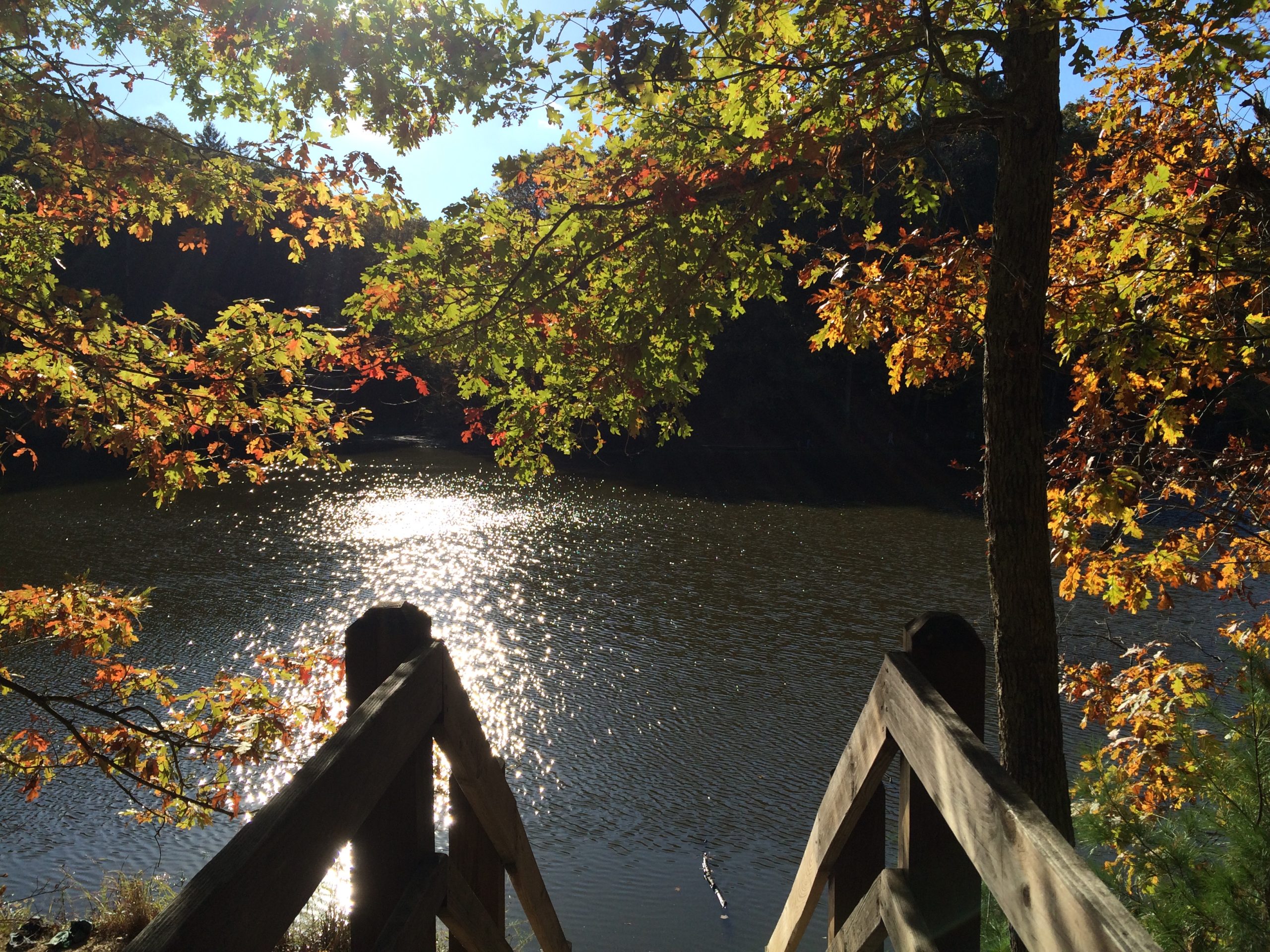 Exploring Brown County State Park